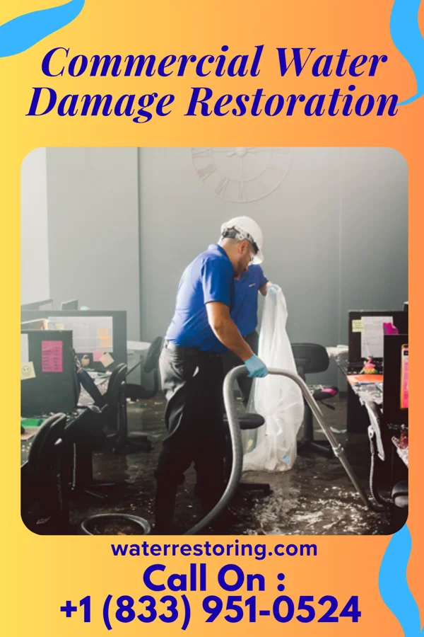Commercial Water Damage Restoration in Dell City, TX