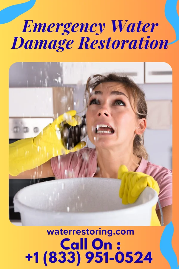 Emergency Water Damage Restoration in Dell City, TX